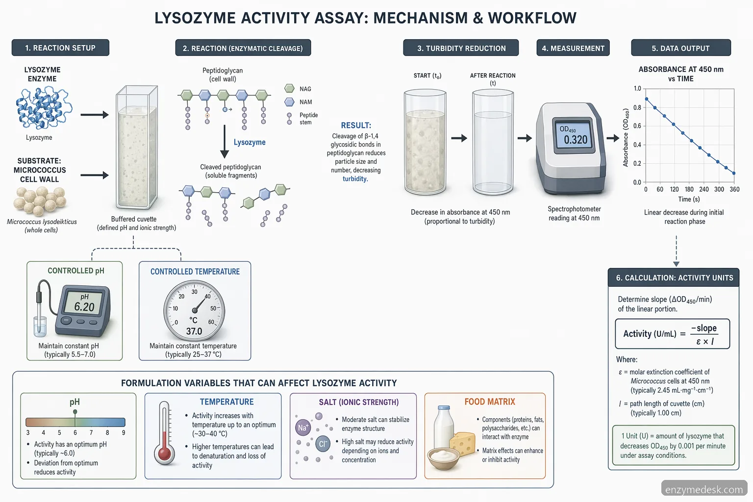 lysozyme activity assay method for food preservation, showing substrate-to-product flow with pH and temperature controls