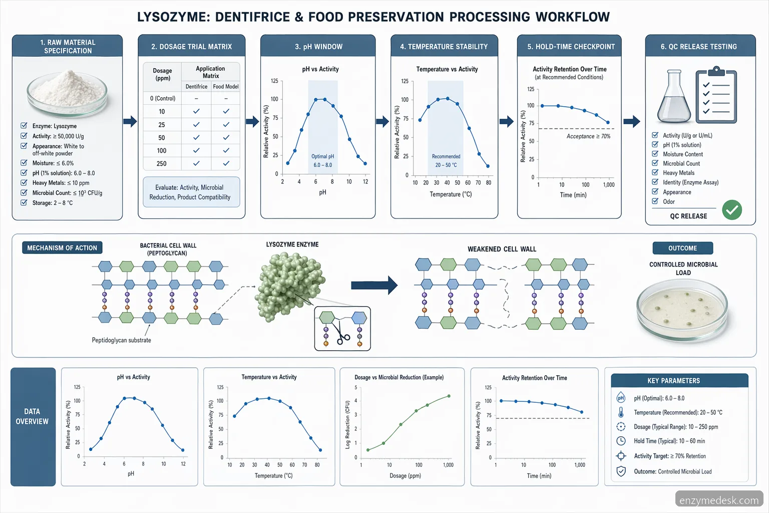 lysozyme dentifrice process guide diagram mapping dosage screening, pH and temperature windows, and QC release tests