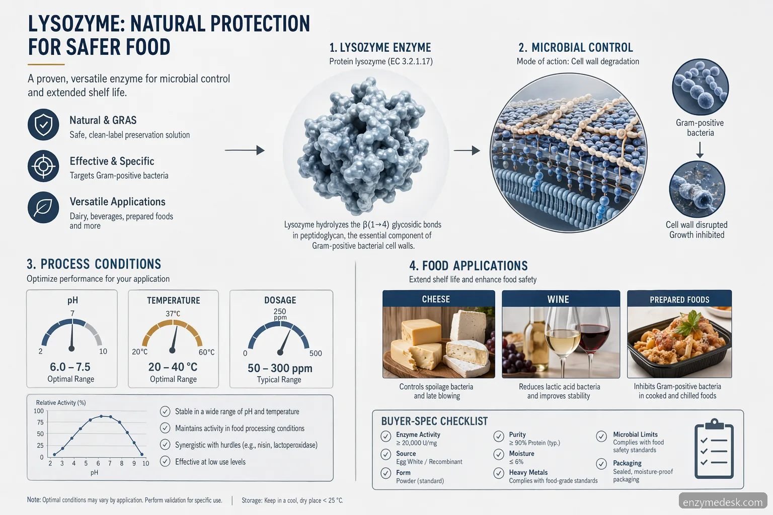 protein lysozyme food preservation supplier guide infographic showing microbial control, process limits, and applications